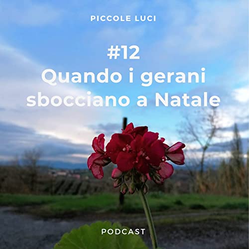 #12 Quando i gerani sbocciano a Natale cover art
