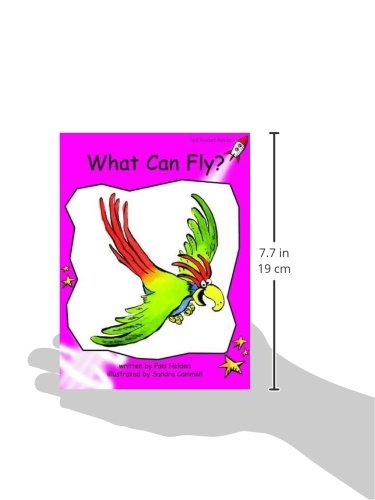 What Can Fly?: Emergent (Red Rocket Readers: Emergent Level: Magen