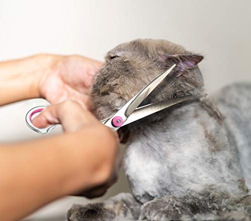 Petsvv 7.5" Curved Dog Grooming Scissors with Safety Round Tips, Light Weight Professional Pet Grooming Shears Stainless Steel for Dogs Cats Pets - Image 7