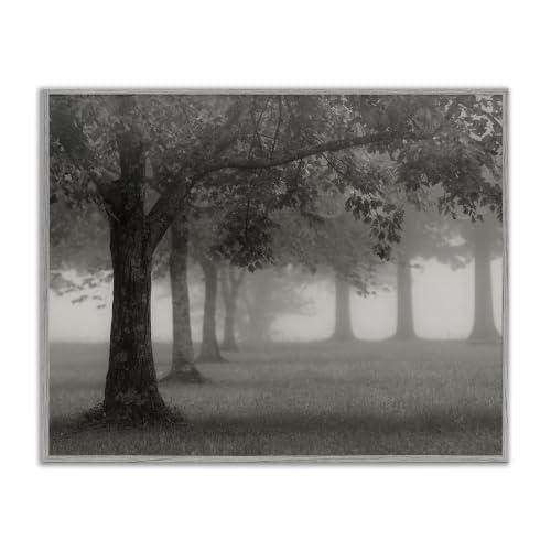 Foggy Trees Field Monochrome Landscape, 11 x 14 Inch Framed Giclée Print