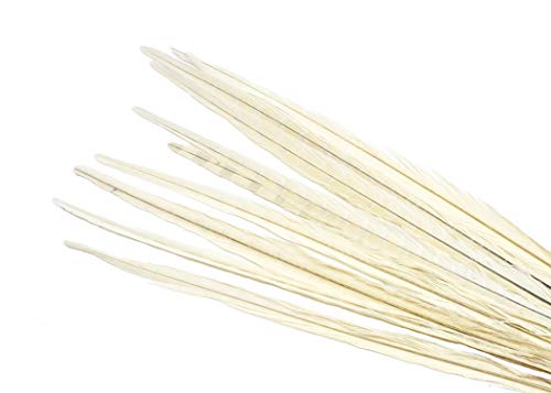 Pheasant Tail Feathers 16