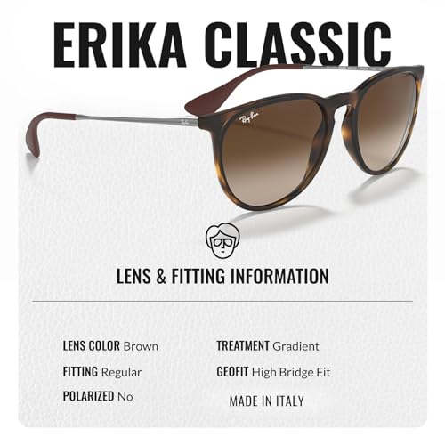 Ray-Ban RB4171 ERIKA CLASSIC Phantos Shaped Sunglasses for Men & Women with Official RAYBAN Eyewear Kit4