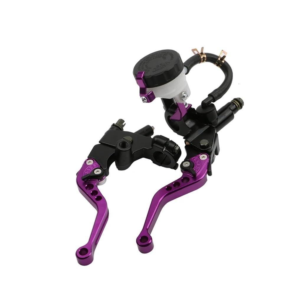 Xvasdgaer Purple Motorcyle Universal 7/8" 22Mm Cnc Aluminum Brake Clutch Pump Levers Hydraulic Master Cylinder For 250Cc-500Cc
