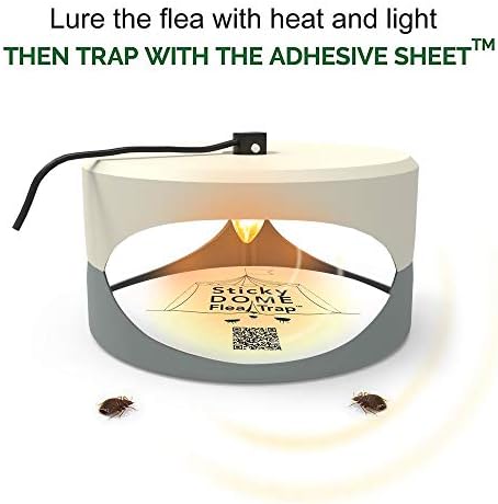 ASPECTEK Trapest Sticky Dome Flea Bed Bug Trap with 2 Glue Discs, Odorless Non-Poisonous and Natural Flea Killer Trap Pad, Pets, Children and Family Friendly, 220V Flea Trap