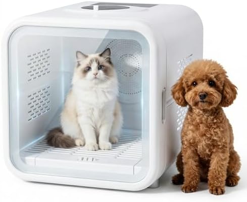 Photo of a calm domestic cat resting comfortably inside a transparent pet dryer box in a sunlit home setting