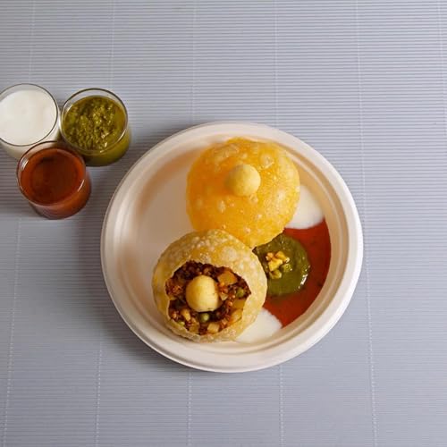 Sustainability That Serves: How Bagasse Plates Elevate the Modern Dining Experience