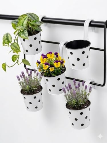 Image of Premium Hook Planter with Inner Pot | Polka Dot Hanging Planter for Balcony & Railings | Sturdy Plastic | Built-in Drainage | Vibrant Colours | Indoor & Outdoor Gardening (5, White)