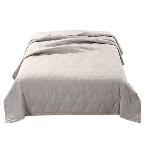 Generico Coperta Rinfrescante per L'estate, 100×150 Cm Coperta Refrigerante Letto, Cooling Blanket Con Dormire Lenitiva Ghiaccio, Leggera a Doppia Faccia Con Fibra Fresca per Chi Dorme Caldo