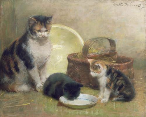 Tableau toile chat chatons Osborne affiche d'art peinture décorative murale 60x90cm salon