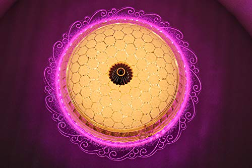 swanart Chandelier Light for Living Dining Room Round Glass LED Lights - Enhance Your Space with Elegant Illumination (12 inch)