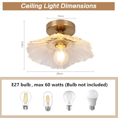 2 Pack Chandelier, Flush Mount Ceiling Light, Clear Glass Shade Light Fixture, 1 Light Lighting Fixture for Bedroom,Dining Room,Kitchen, Hallway