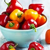 Eden Brothers Sweet Pepper Seeds - Mini Bell Blend