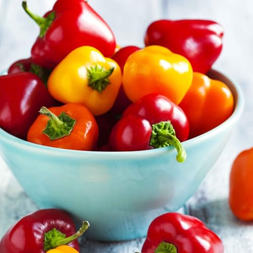 Eden Brothers Sweet Pepper Seeds - Mini Bell Blend