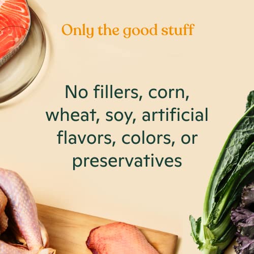 Made By Nacho Premium Wet Cat Food Grain-Free Pate Cans (Chicken, Salmon, Turkey And Kitten) (Pate Variety Pack, 5.5 Ounce) #TOP4