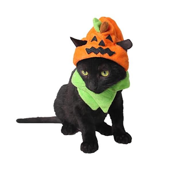 Orgrimmar halloween pumpkin cat hat cat cosplay costume cap kitty cat collar costume - image 3