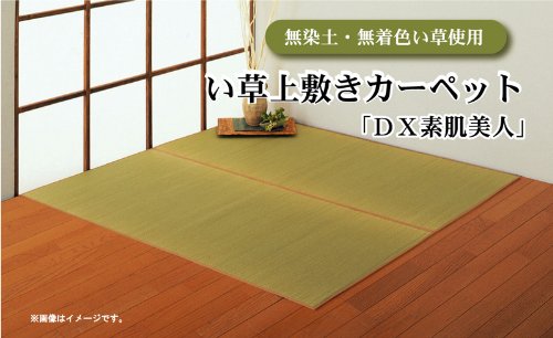 Amazon.co.jp: イケヒコ い草 上敷き カーペット 6畳 無染土 『Dx素肌