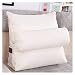 YZWHKJ Cuscino Antireflusso Adulti Moda Lettino Lettura Reading Resto Back Sofa Cuscino Cuscino Sedia da Ufficio Soggiorno Lumbar Pad (Color : White, Specification : 45x45x20cm)