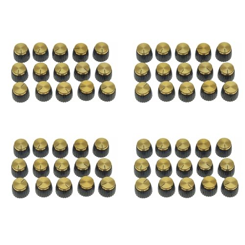 TAMOSH 60PM^[AMPAvvbVItBbgmuubNS[hA~jELbvgbv͒a6mm̃|bgɓK}[VAv