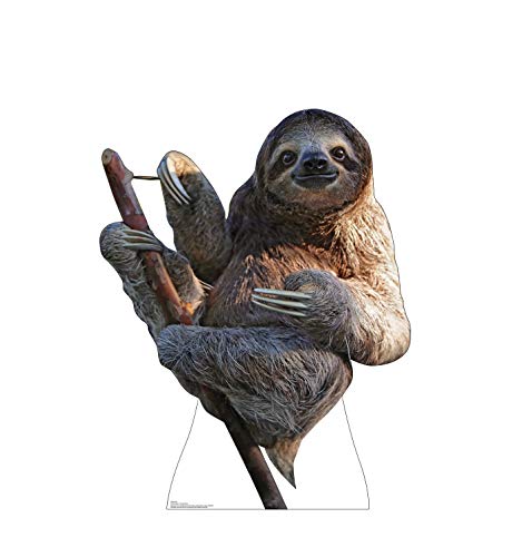 Cardboard People Sloth Life Size Cardboard Cutout Standup