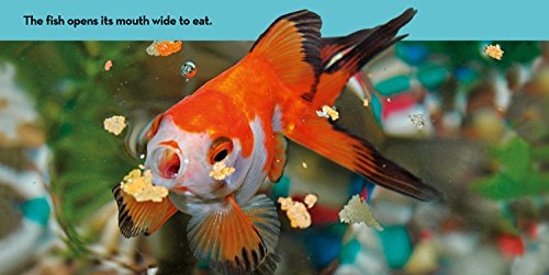 Image of National Geographic Kids Look & Learn: Pets