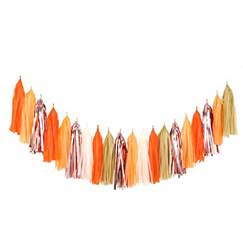 Fonder Mols Fall Harvest Tassel Garlands DIY Kit, Thanksgiving Tassel Banner, Holiday Decor, Thanksgiving Decor, Rustic Decor (Pack of 25pcs, Orange Tan Beige Rose Gold Mad Orange) A20