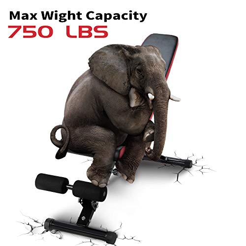 Adjustable Weight Bench 750 lbs Capacity Foldable Full Body Workout Bench with Leg Extension Exercise Fitness Bench for Bench Press Weightlifting Ab Exercise Utility Weight Bench for Home Gym