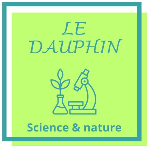 Le Dauphin: rapide, malicieux et sociable