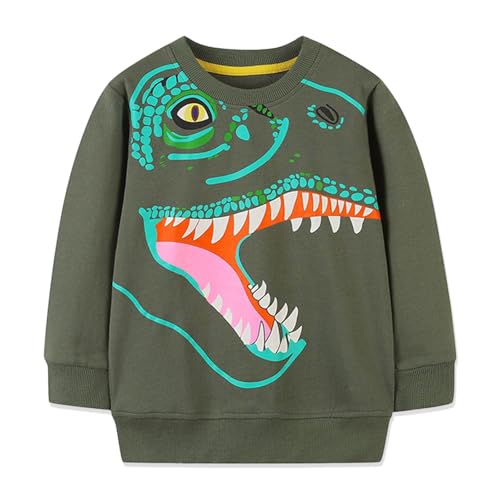 Toddler Boy Sweatshirt Kid Long Sleeve Crewneck Pullover Cotton Tops Cartoon Casual Shirts