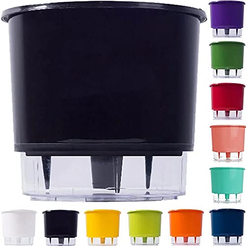 Kit 3 Vaso Auto Irrigável 16x14cm Autoirrigável Gourmet (16 X 14 CM)