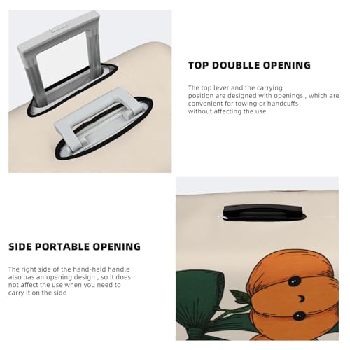 Two Pumpkin Green Coquette Ribbon Elastic Travel Luggage Covers Dustproof Scratch-Resistant Suitcase Protector Fit 22-24 Inch3