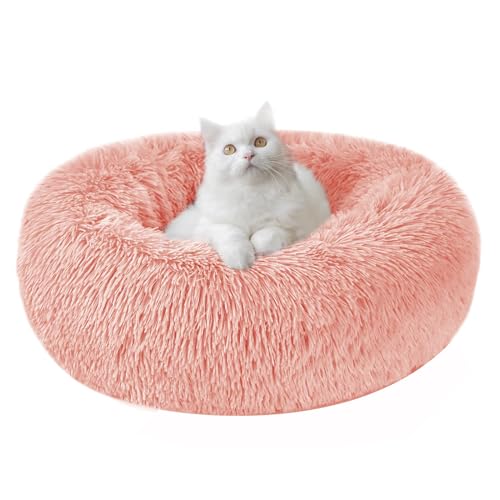 STAERTME ybgNbV Lxbh xbh LNbV ybgxbh ybgnEX ی`  ӂӂ ``  LpQ 􂦂 ybgxbg ^ ^ xbg L ėp ʋC悢 XNGA^ _炩 ӂӂ 