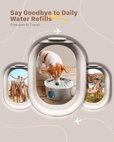 Hunde Trinkbrunnen für Katze Edelstahl: 7L / 236oz Katzenbrunnen – Superleiser Katzen Trinkbrunnen - LED Licht - Geeignet für große Hunde, Katzen und Haushalte mit Mehreren Haustieren