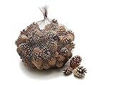 tannenzapfen deko silber Die NaDeco Waldkiefer Zapfen lassen sich zum Basteln von Weihnachts- und Adventsdekoration in Form von Adventsgestecken, Adventskränzen oder aber zum Befüllen von Vasen und Schalen sowie zum Verbasteln und zur sonstigen Weiterverarbeitung verwenden