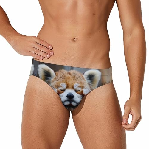 Red Panda Mens Swim Briefs Quick Dry Swim Trunk Bikini Underwear Swimsuit 2XL