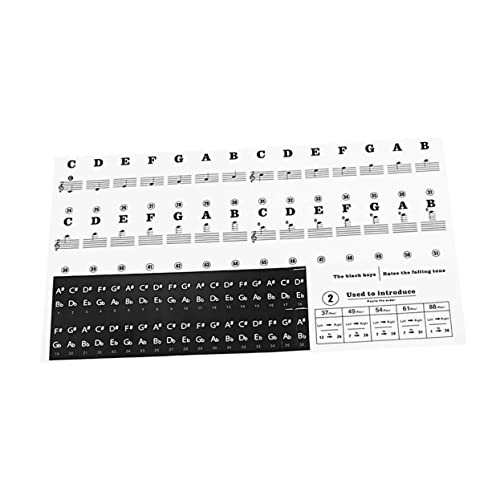 Totority Piano Labels for Keys Large Print 37/49/54/61/88 Key Stickers for Boys and Girls Easy to Identify Notes