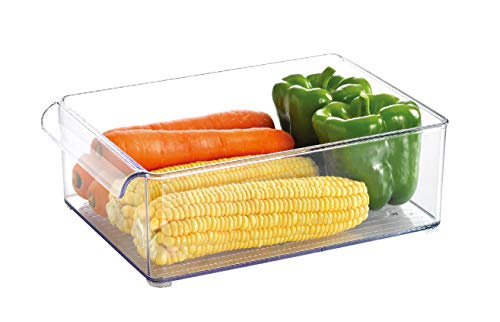 Organiseur de réfrigérateur petit - Pratique organisateur sans couvercle - Dimensions 30,5 x 20,5 x 10,2 cm Cover