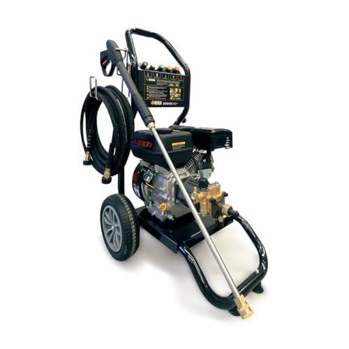 Hidrolimpiadora Profesional Benza 200 12