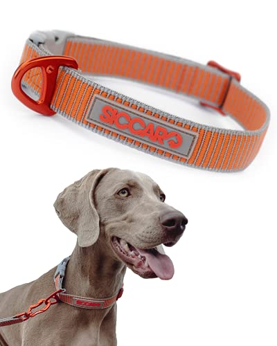 Siccaro Sealines Dog Collar collier étanche et robuste S6011