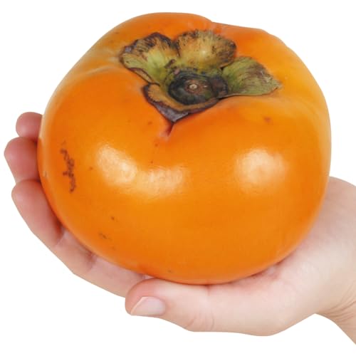 果樹苗 カキ 完全甘柿 太秋 1株/ 国華園 25年秋商品のサムネイル