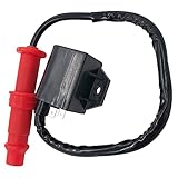 EPSIRMP 3089239 Ignition Coil & Spark Plug Compatible with Polaris Ranger 400 500 Sportsman 400 450 500 4X4 HO 6X6 ATV