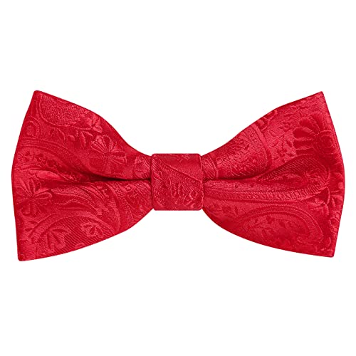 Alizeal Boys Classic Paisley Adjustable Pre-tied Bow Tie Red