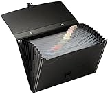 Snail&Hawk 13-Pockets Poly Expanding-File-Folder with Portable-Handle,A4 Size,Heavy Duty (Black)