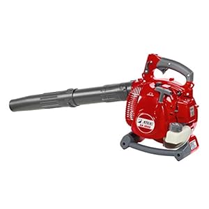 Efco SA 3000 Laubsauger