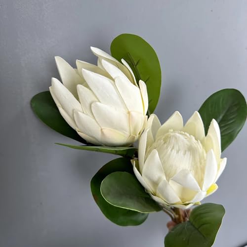 Evlasumflow 2pcs Artificial King Protea Flowers 20