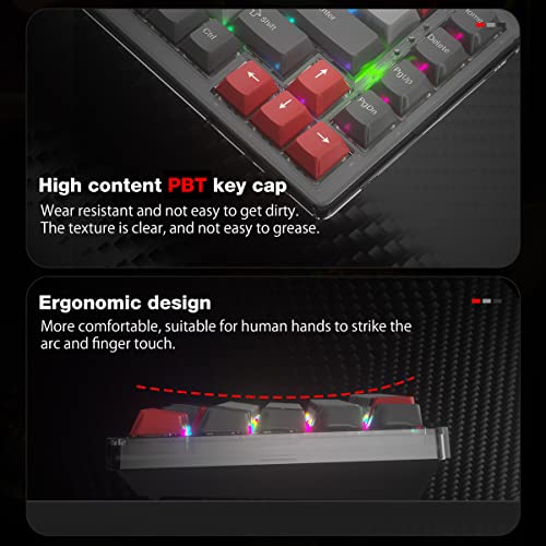 Loriik Portable Mechanical Gaming Keyboard, Led Backlit Compact 68 Keys, Bluetooth/ 2.4Ghz/ Usb Triple Modes, Three Color Pbt Keycaps Hot-Swappable Switch For Mac Windows #TOP6