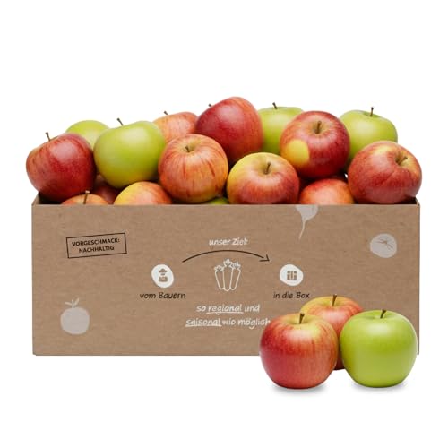 Knollenliebe Apfelbox | Gemischte Apfelbox 5 kg | 5-6 Sorten frische Äpfel direkt vom Obsthof mit regionalen Apfelsorten | Plastikfrei & nachhaltig verpackt | Versand immer Dienstag