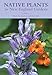Native Plants for New England Gardens