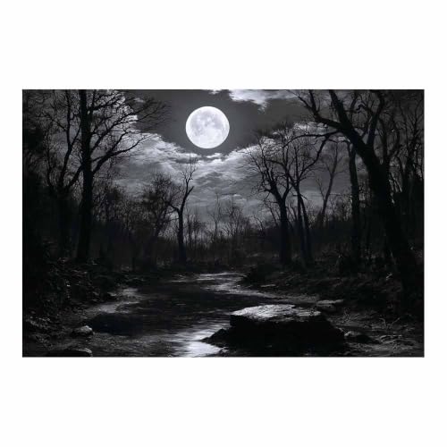 Tableau toile noir et blanc ruisseau de forêt décoration haut de gamme