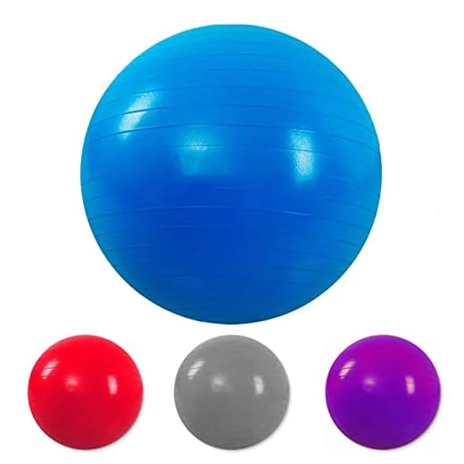Bola Pilates Ginástica Fisioterapia Suiça 55cm 200kg Cores