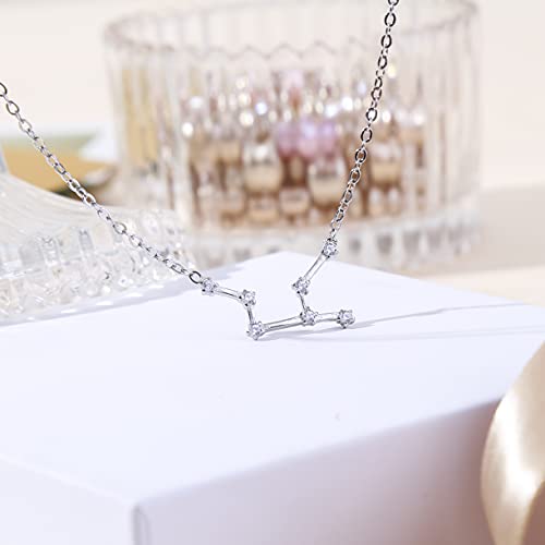 ALoveSoul 925 Sterling Silver Constellation Horoscope Zodiac Necklace, Birthday Gifts for Women4